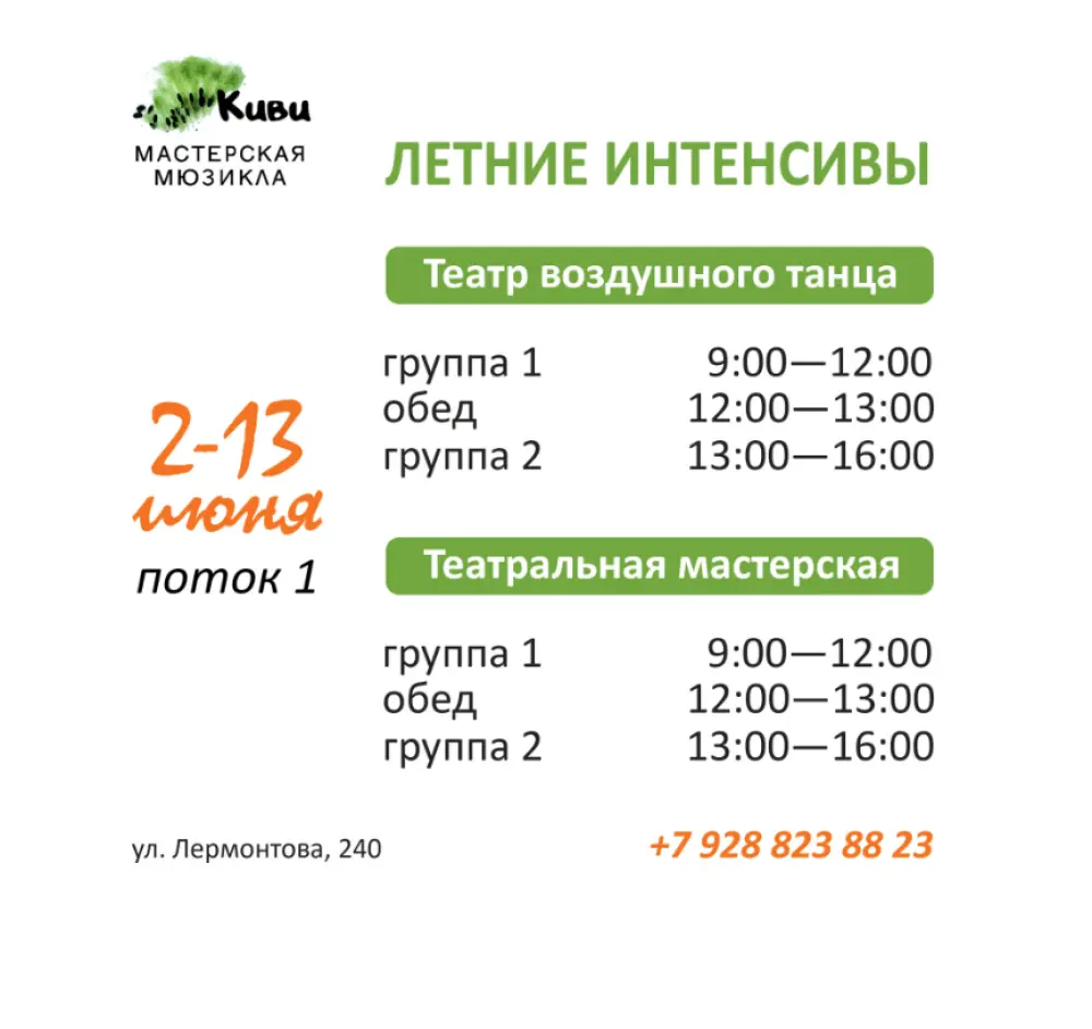 Интенсив мастерской "Киви", Театр воздушного танца, поток 1