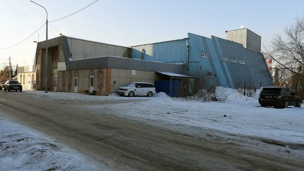 Интенсив по воздушной гимнастике центра "Бриллиантовый шмель" (филиал на Феликса Аржанова)