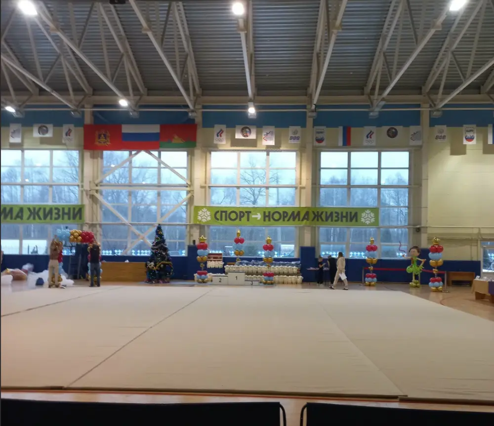 Открытый Кубок по воздушной гимнастике "Созвездие"