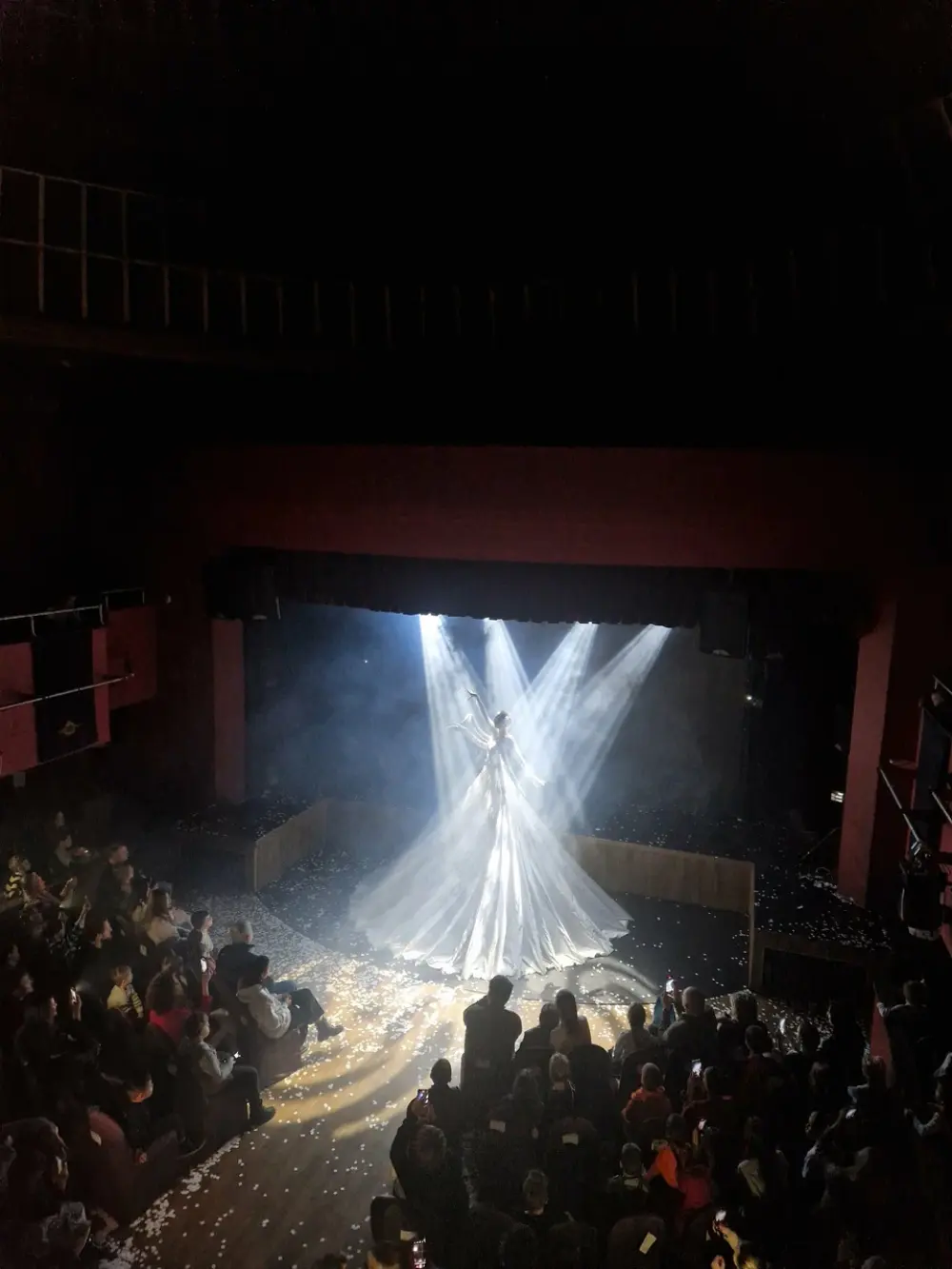 Фестиваль воздушной гимнастики "Fenix Fest"