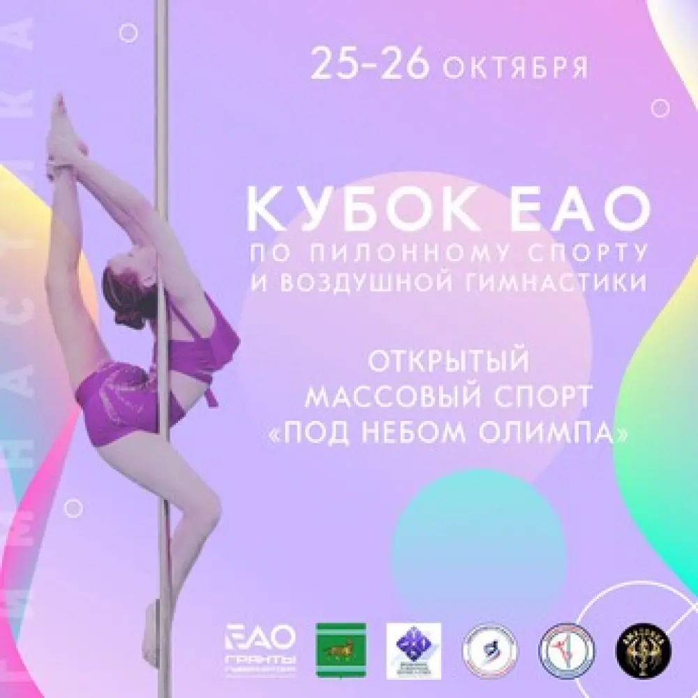 Кубок ЕАО  по пилонному спорту и воздушной гимнастике