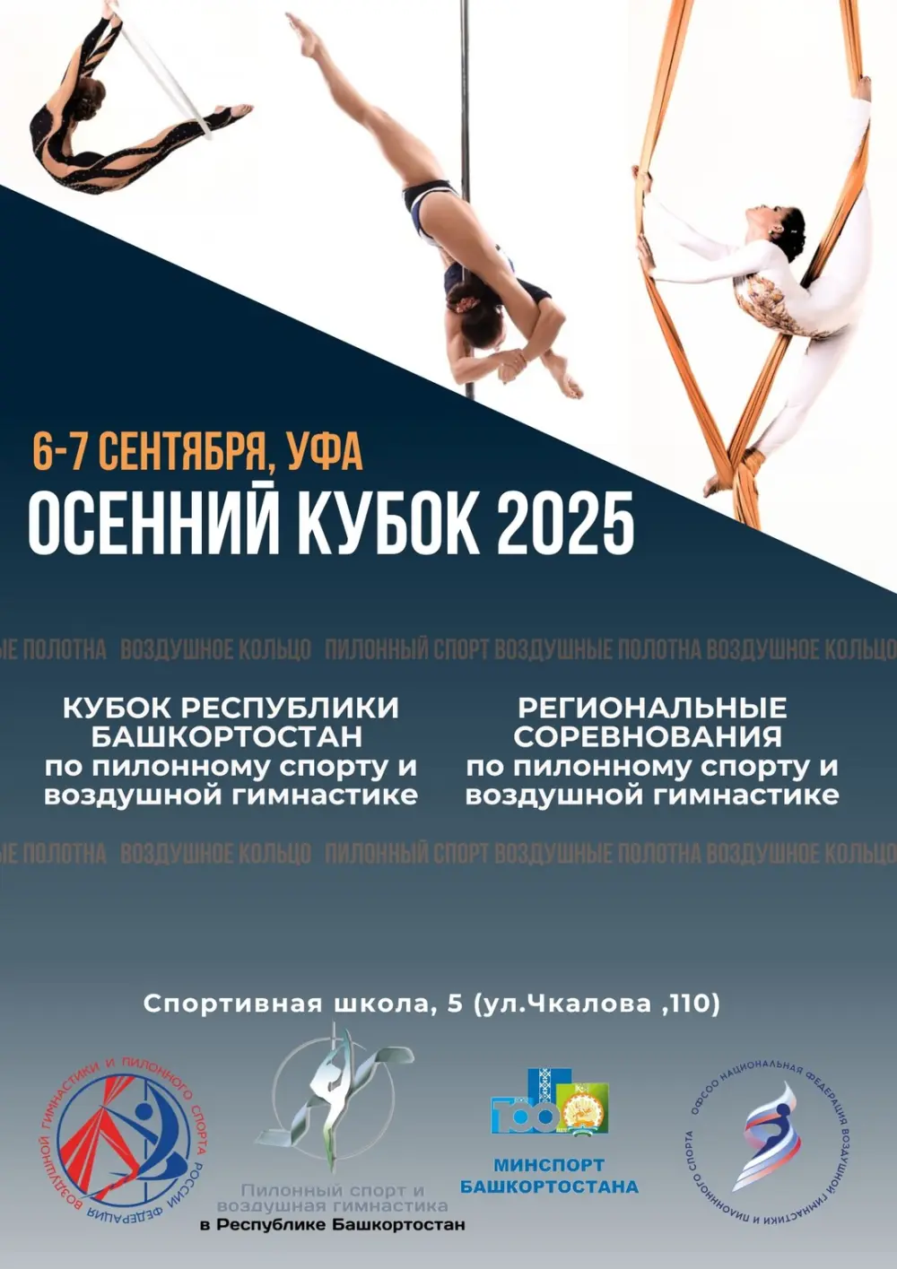 Кубок Республики Башкортостан и Региональные соревнования по пилонному спорту и воздушной гимнастике