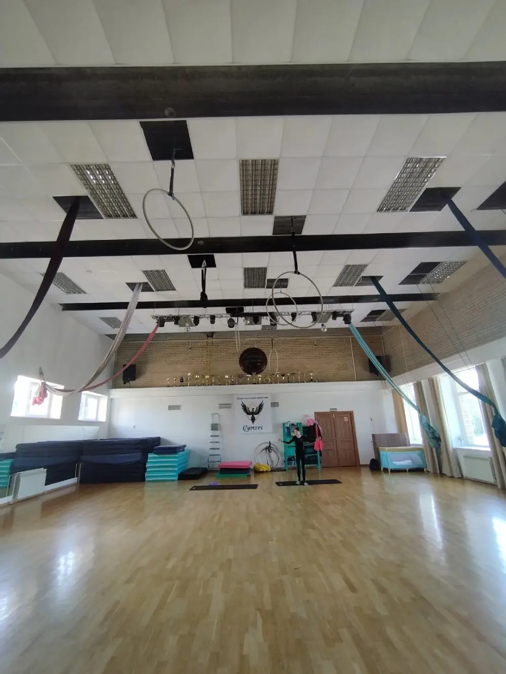 Кубок Сосновоборского г.о. по пилонному спорту; Соревнования Ленинградской обл. по пилонному спорту «Вертикаль»; Артистик – фестиваль