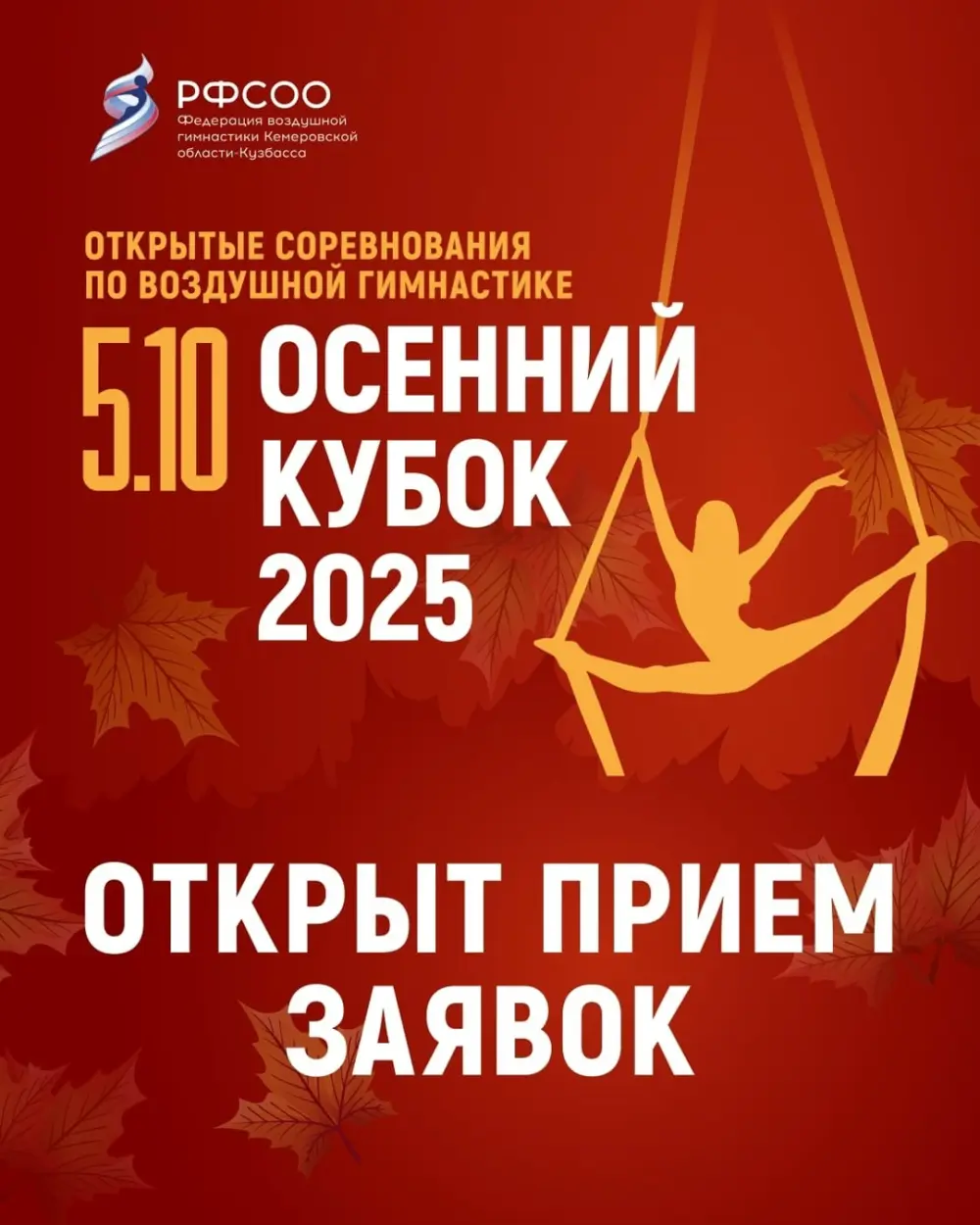 Открытые соревнования по воздушной гимнастике "Осенний кубок 2025"