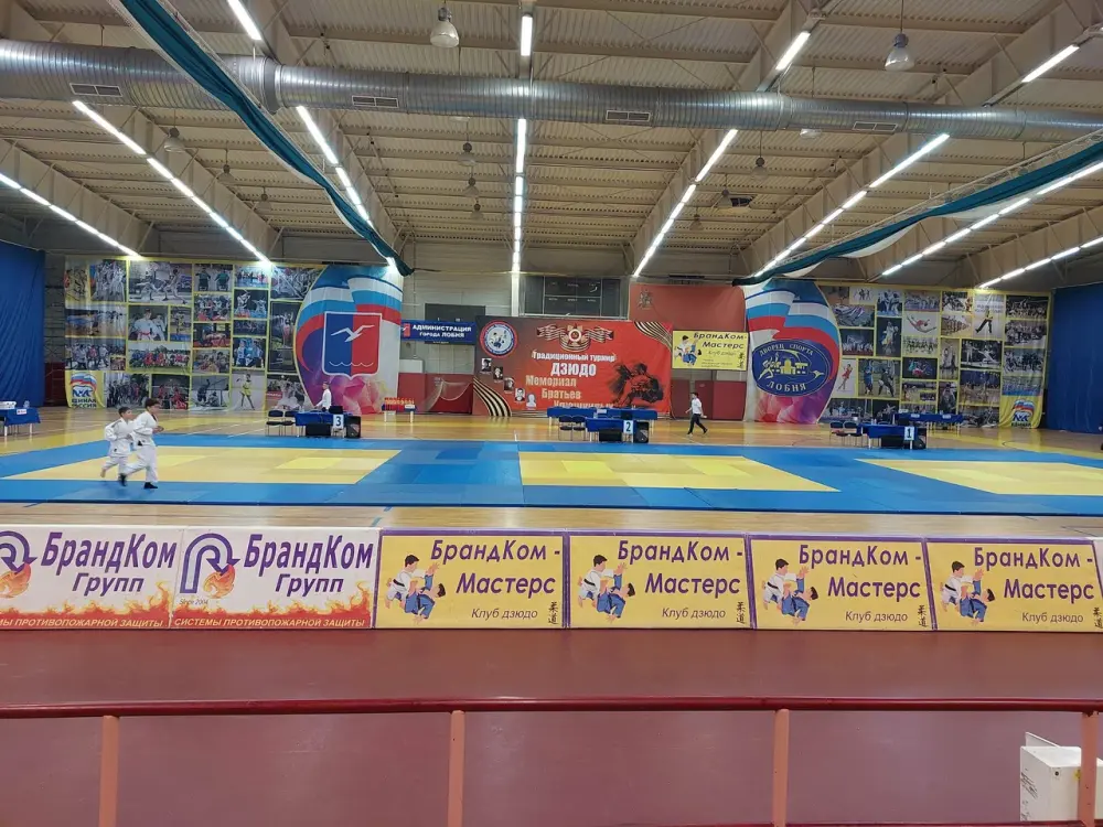 Открытый детско-юношеский турнир России по ВСЭ