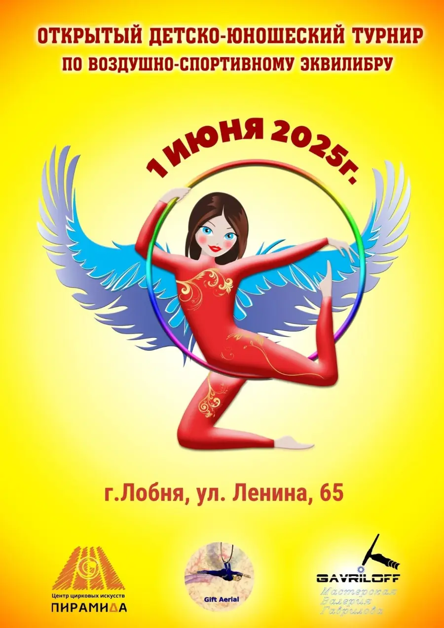 Открытый детско-юношеский турнир России по ВСЭ