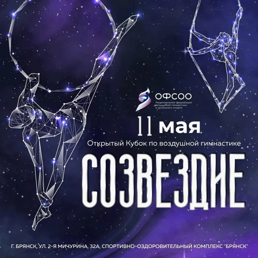 Открытый Кубок по воздушной гимнастике "Созвездие"