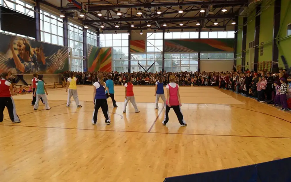 Соревнования по воздушной гимнастике "Весенний бриз"