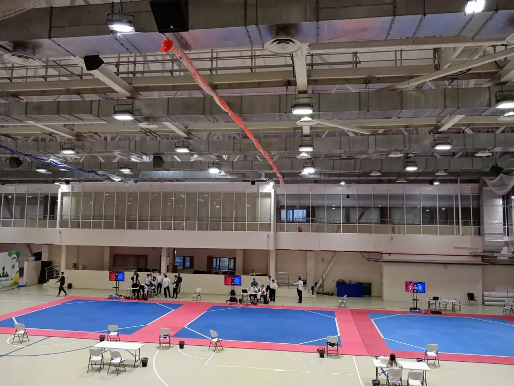 VIII Открытые соревнования по Воздушной гимнастике "Большой Урал"