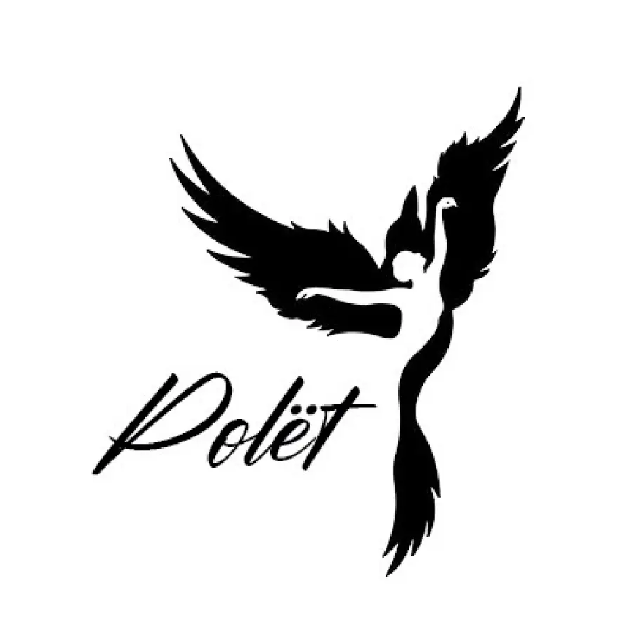 Всероссийские соревнования по воздушной гимнастике и акробатике на пилоне «Polёt»