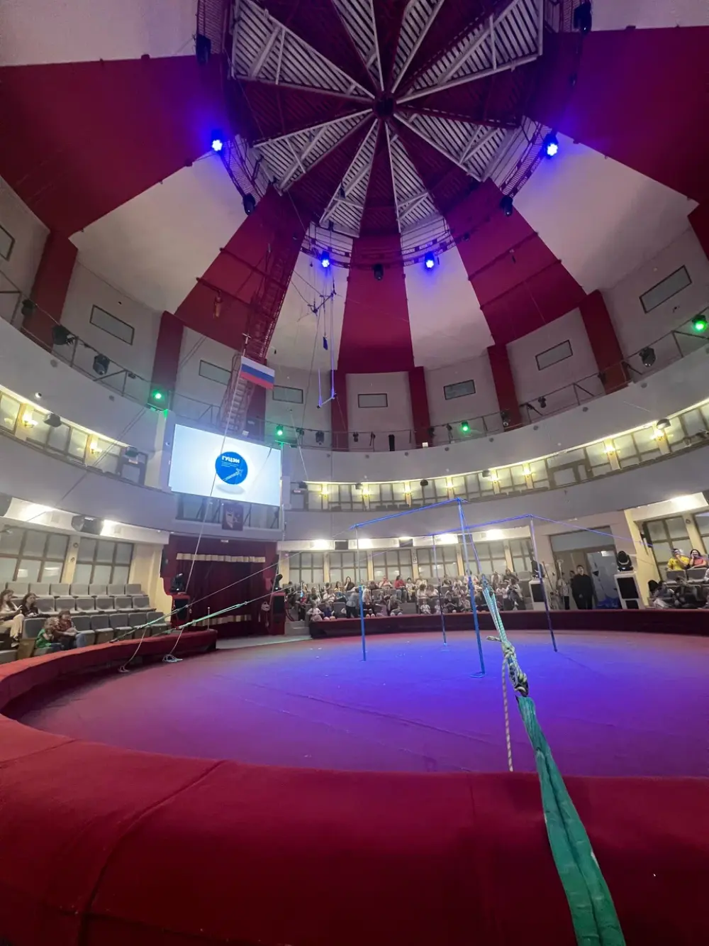 Золотая премия в области циркового искусства