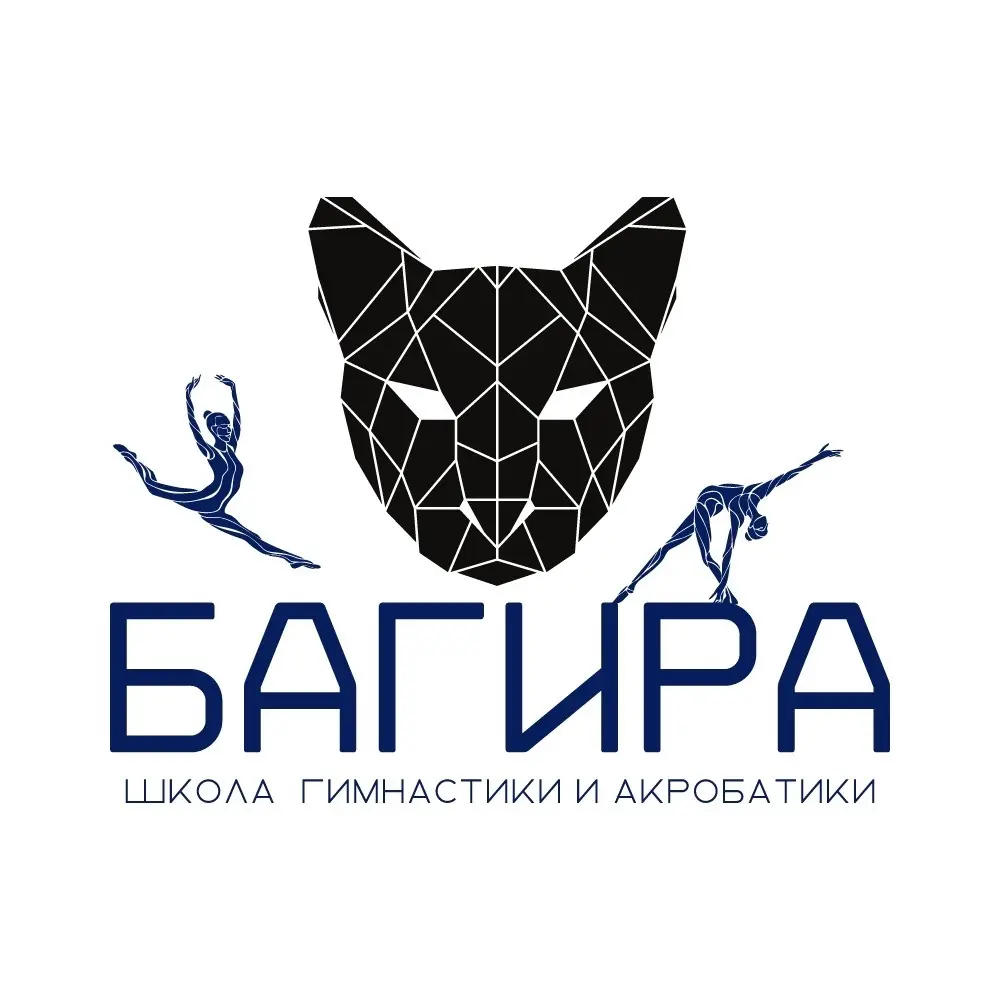 Школа гимнастики и акробатики «Багира»