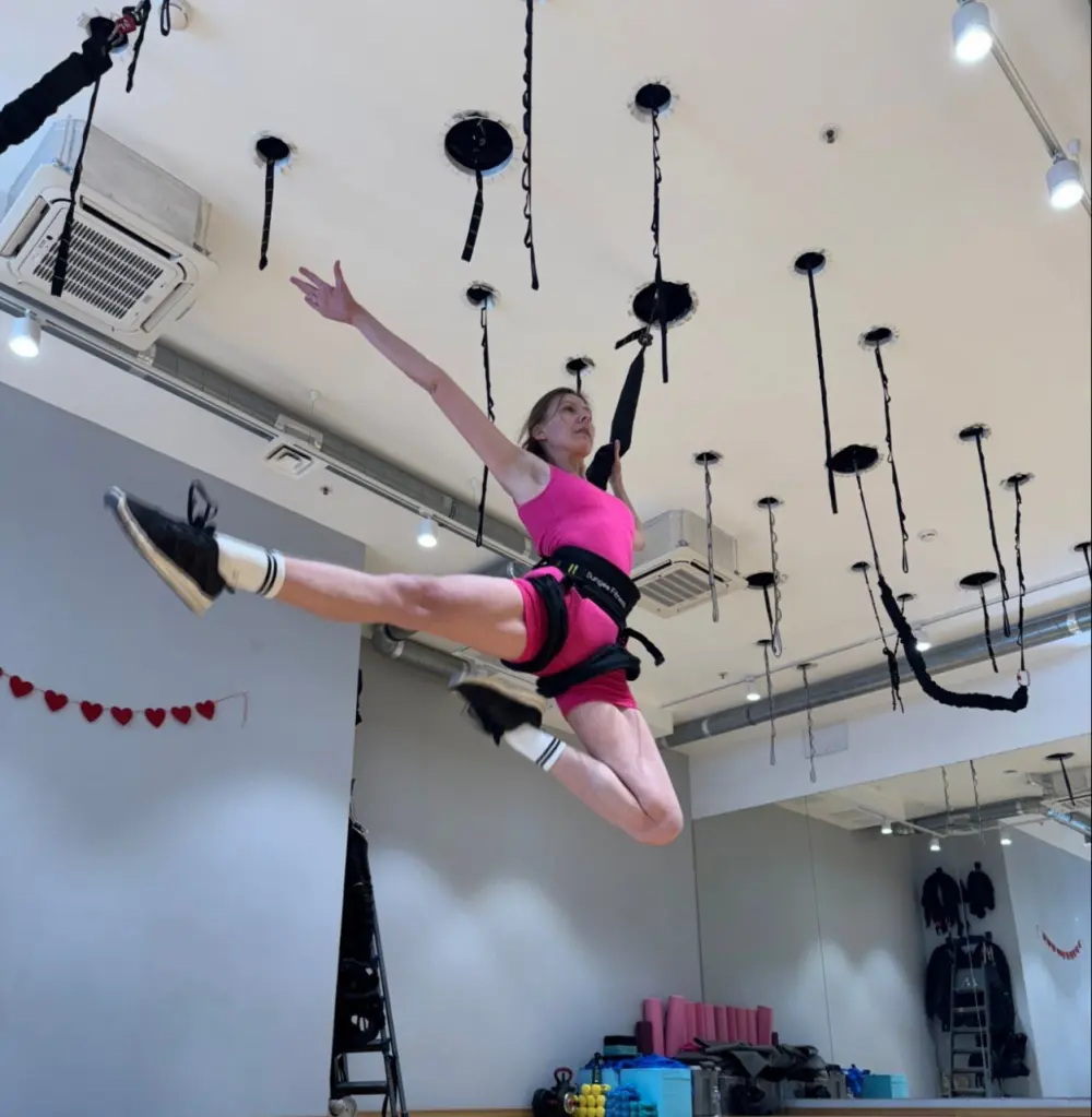 Студия воздушной гимнастики "Aerial Fitness"