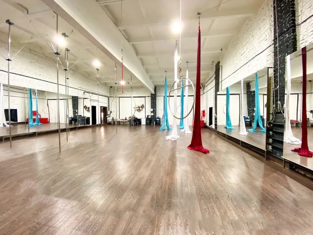 Студия воздушной и шестовой акробатики "Balance Air Studio"