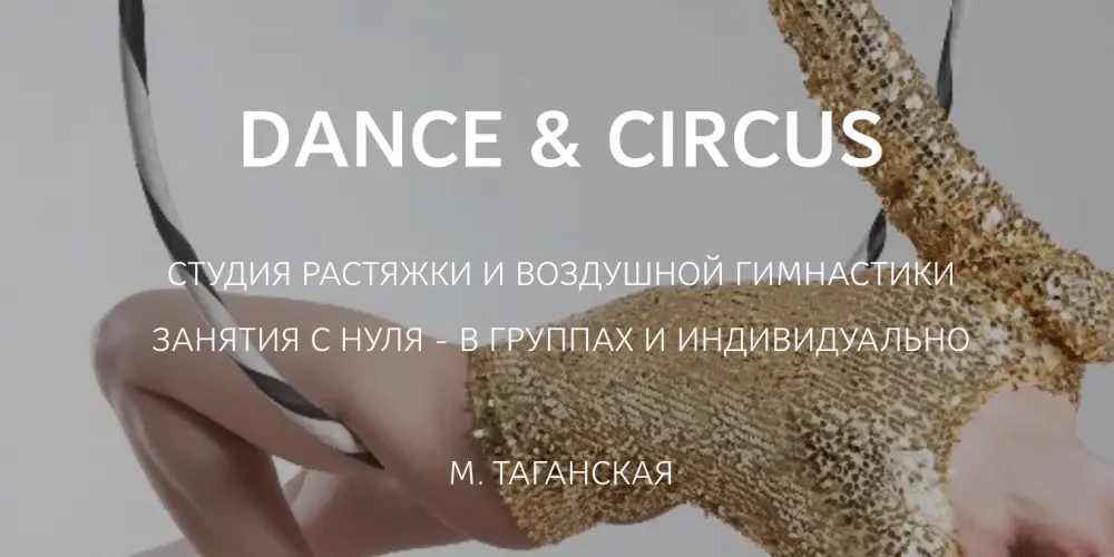 Студия воздушной гимнастики и растяжки "Dance&Circus"
