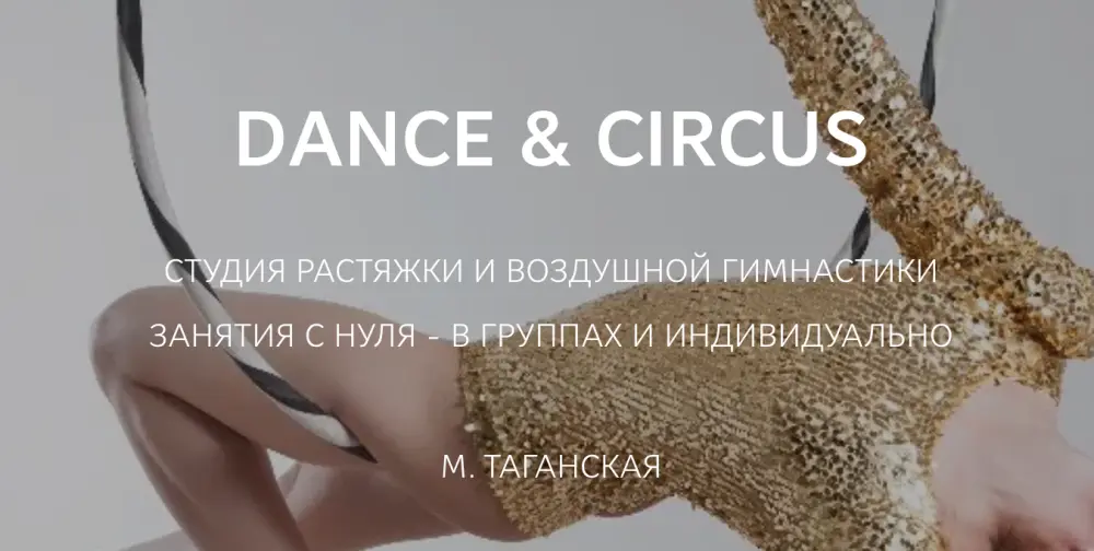 Студия воздушной гимнастики и растяжки "Dance&Circus"