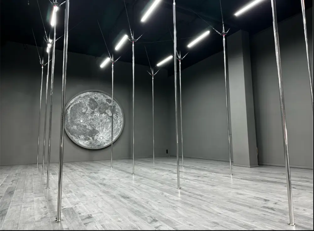Школа Pole dance "Exo House"