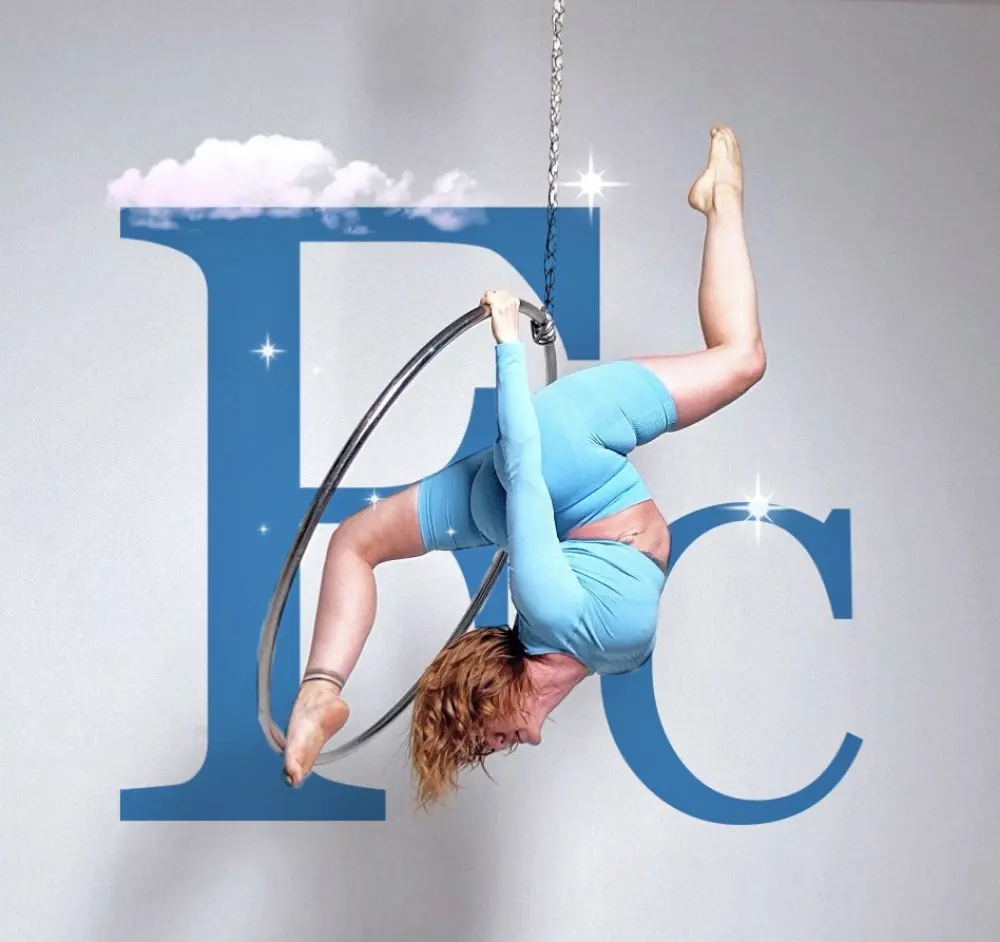 Студия танца на пилоне и воздушной гимнастики "Flycircus"