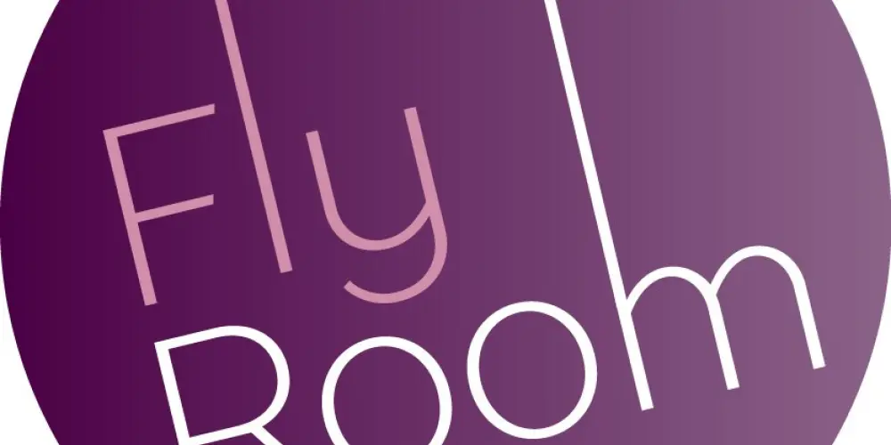 Спортивно-хореографическая школа воздушной гимнастики "FlyRoom"