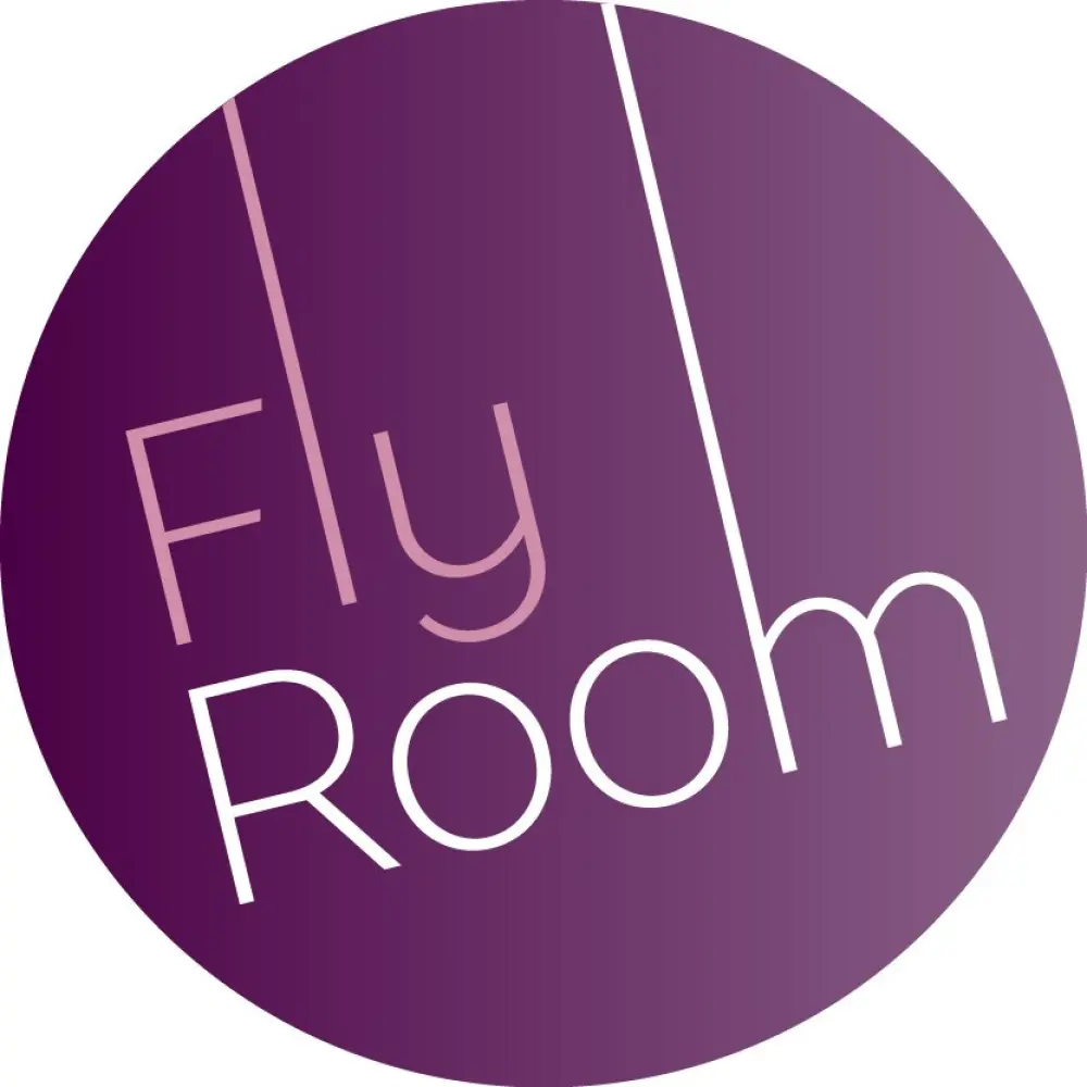 Спортивно-хореографическая школа воздушной гимнастики "FlyRoom"