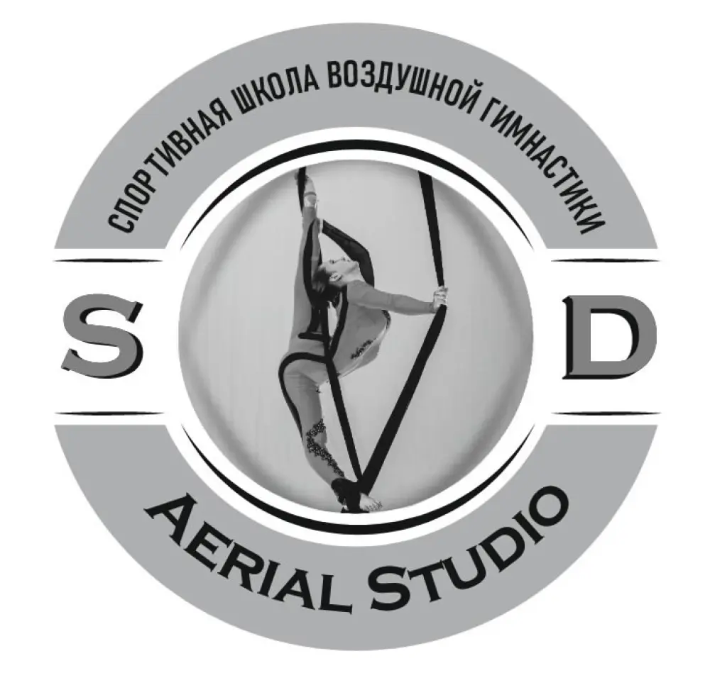 Школа воздушной гимнастики  "SD Aerial Studio"