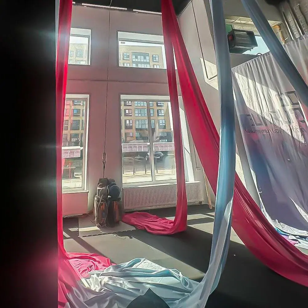 Школа воздушного танца "Северное Сияние"