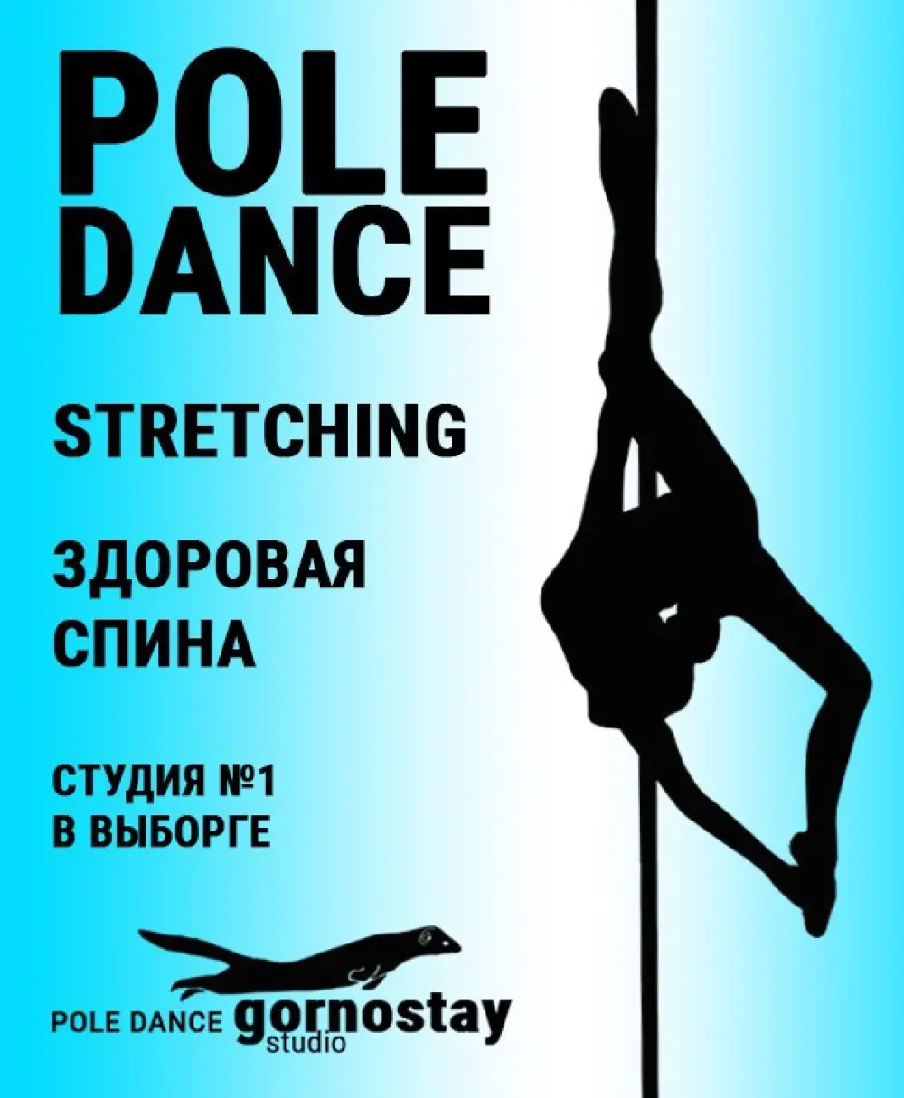 Студия акробатики на пилоне "Gornostay Studio"