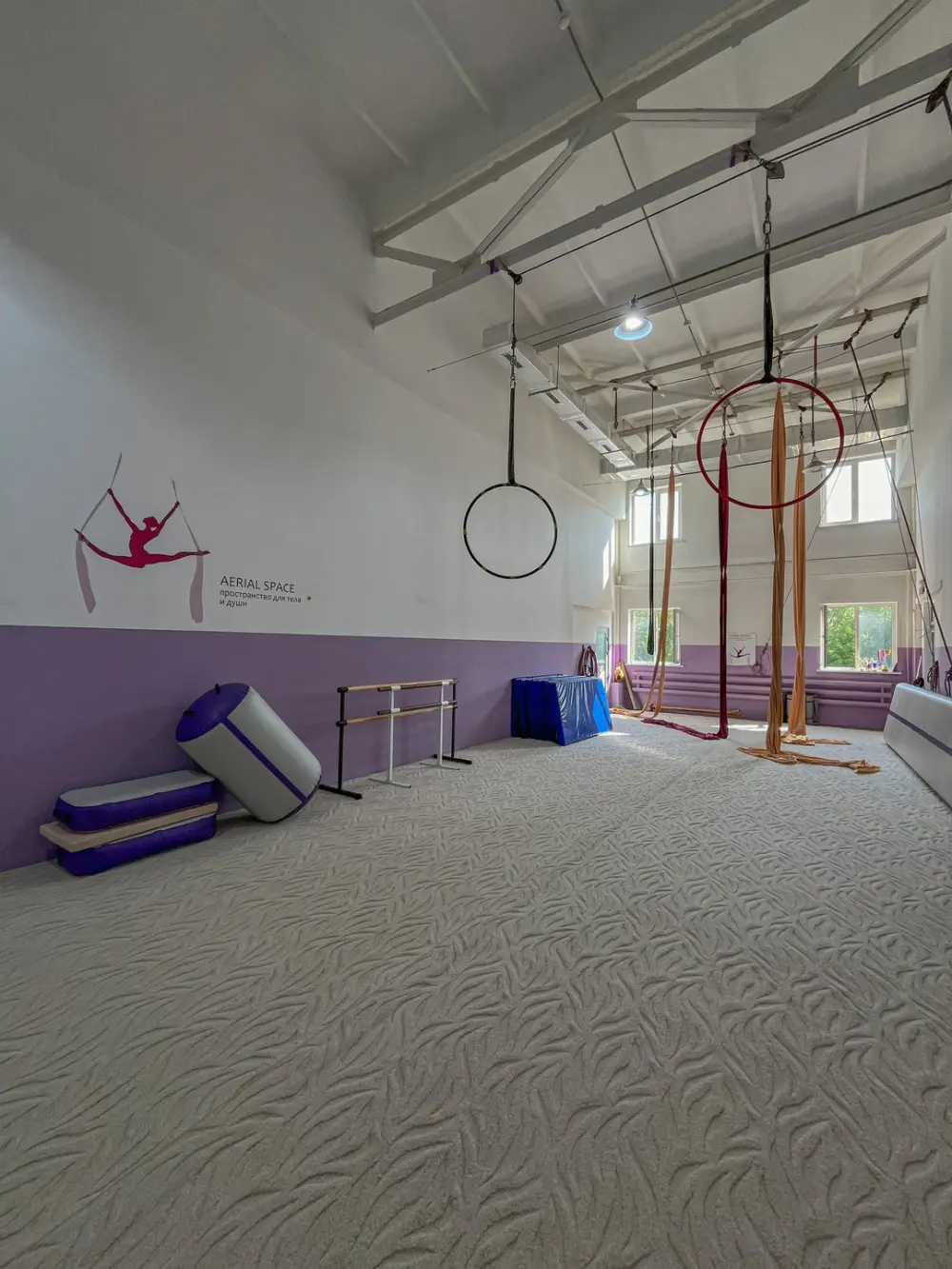 Студия воздушной гимнастики и акробатики "Aerial Space"