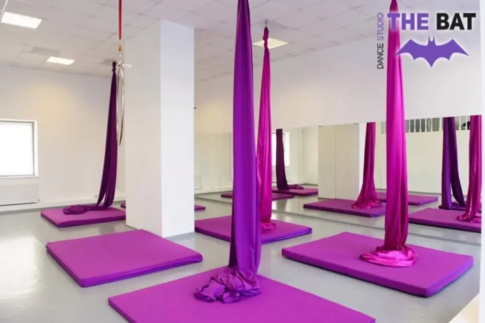Студия танца, воздушной гимнастики и Pole dance "The Bat"