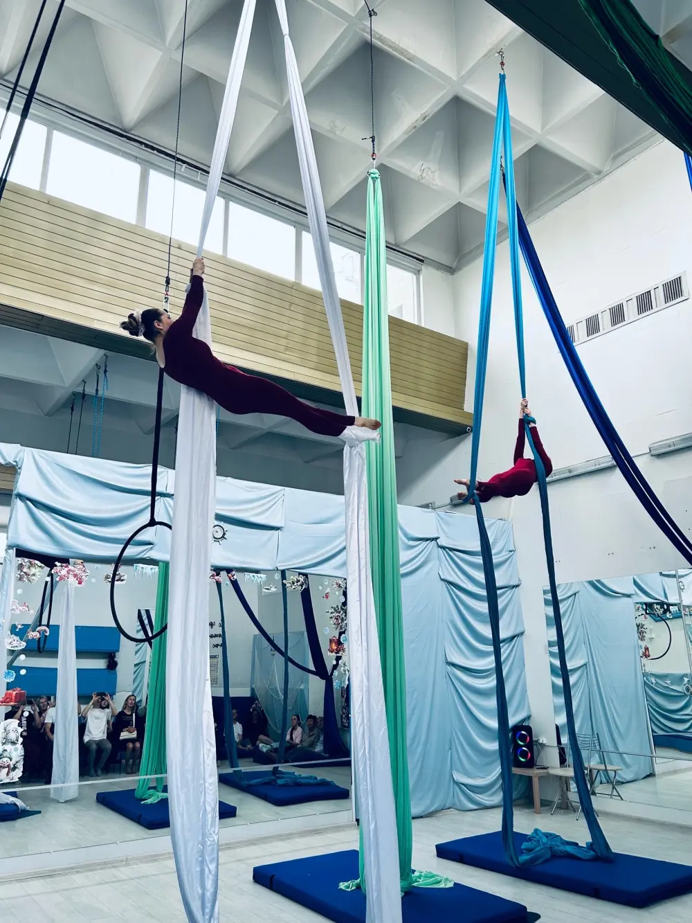 Студия воздушной гимнастики "Жар-птица"