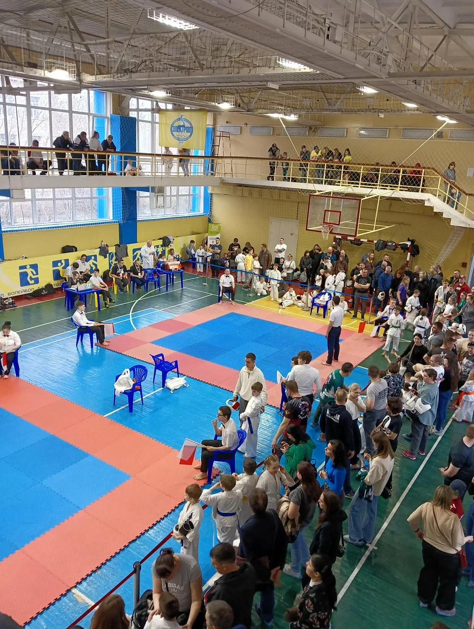 Чемпионат и Первенство Новосибирской области по пилонному спорту и воздушным дисциплинам