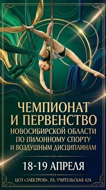 Чемпионат и Первенство Новосибирской области по пилонному спорту и воздушным дисциплинам