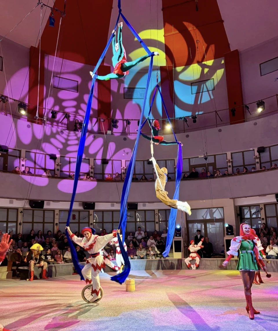 Цирковой фестиваль "Моя мечта – манеж"