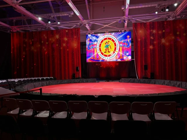 Фестиваль-конкурс детских любительских цирковых коллективов "Герои из-под купола цирка"