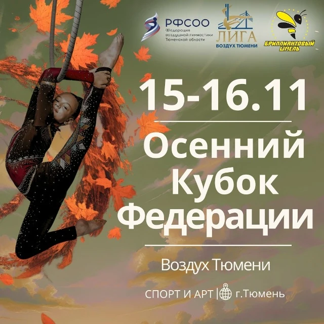 Фестиваль по воздушной гимнастике "Осенний Кубок Федерации"
