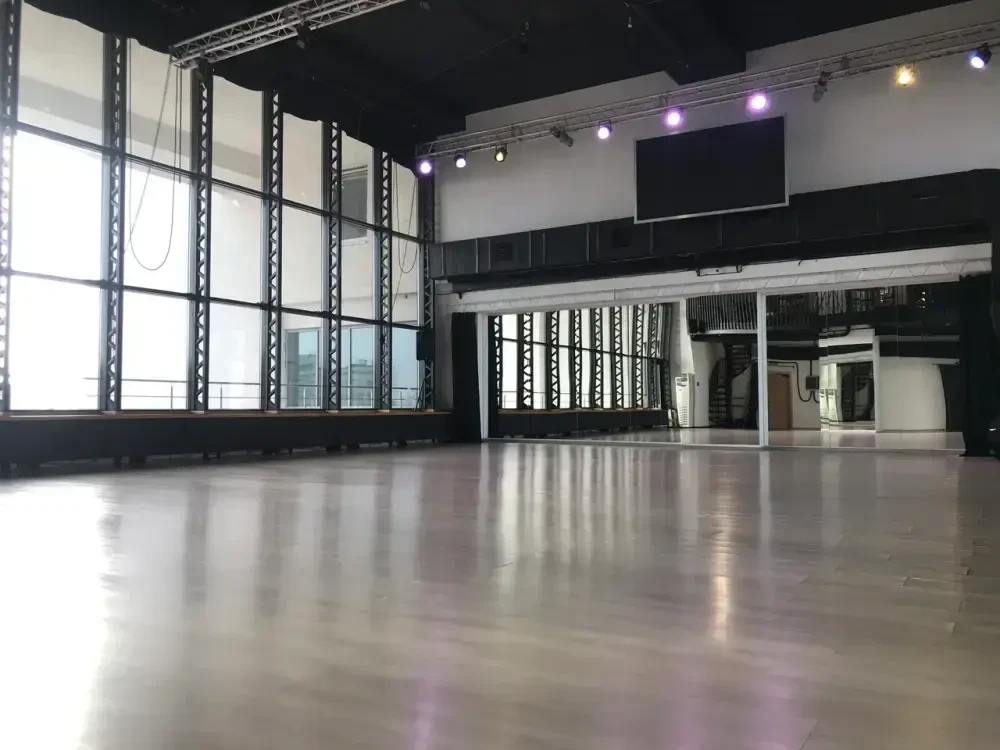 Фестиваль воздушного искусства "Fly Pony Fest"