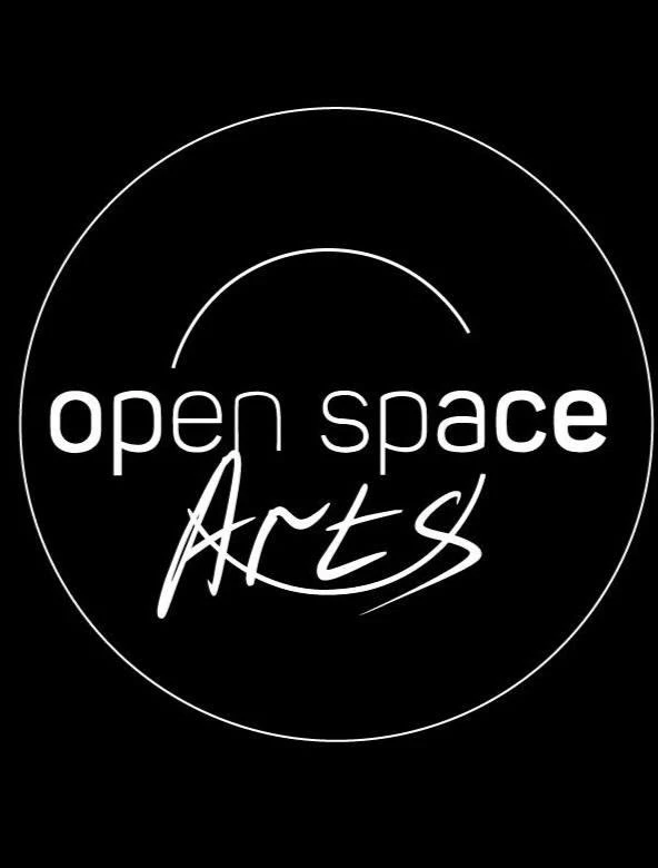 Фестиваль воздушной гимнастики и циркового искусства "Open Space Arts"