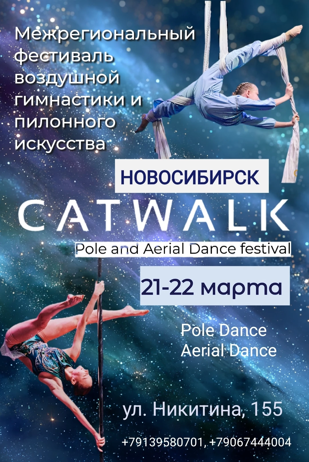 Межрегиональный фестиваль воздушной гимнастики и пилонного искусства "Catwalk"