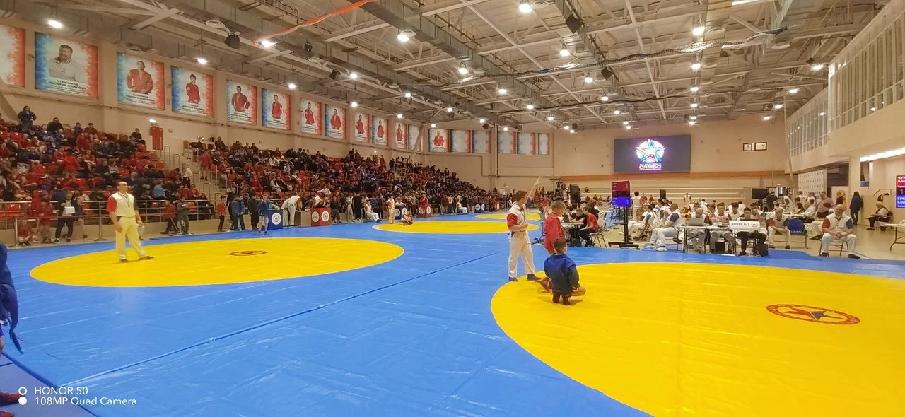 Областные соревнования и спортивный фестиваль по воздушной гимнастике "Вершина воздуха"