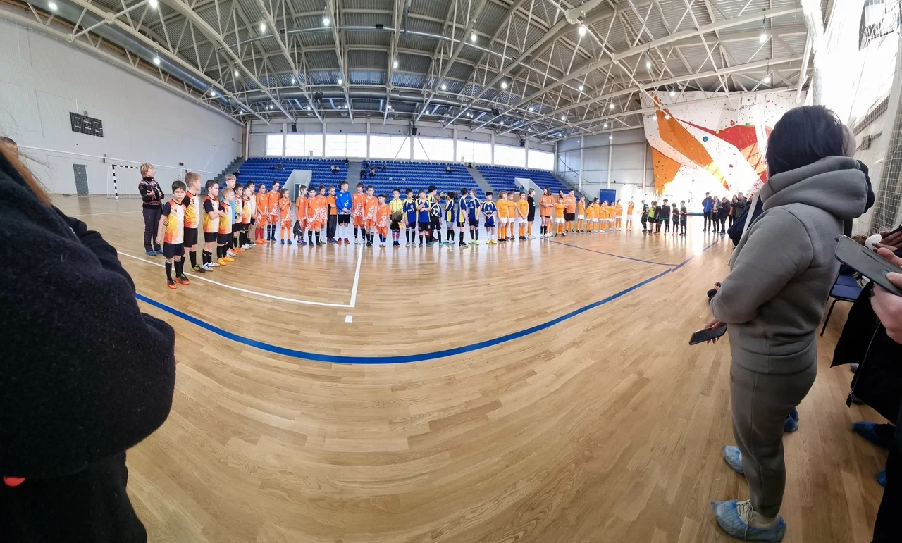 Открытое первенство по воздушной акробатике "Dragons Cup"