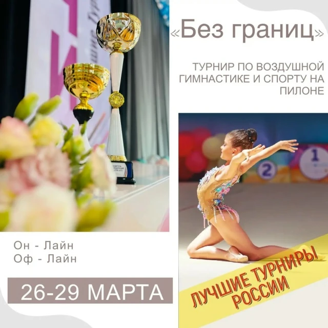 Турнир по воздушной гимнастике и спорту на пилоне "Без границ"