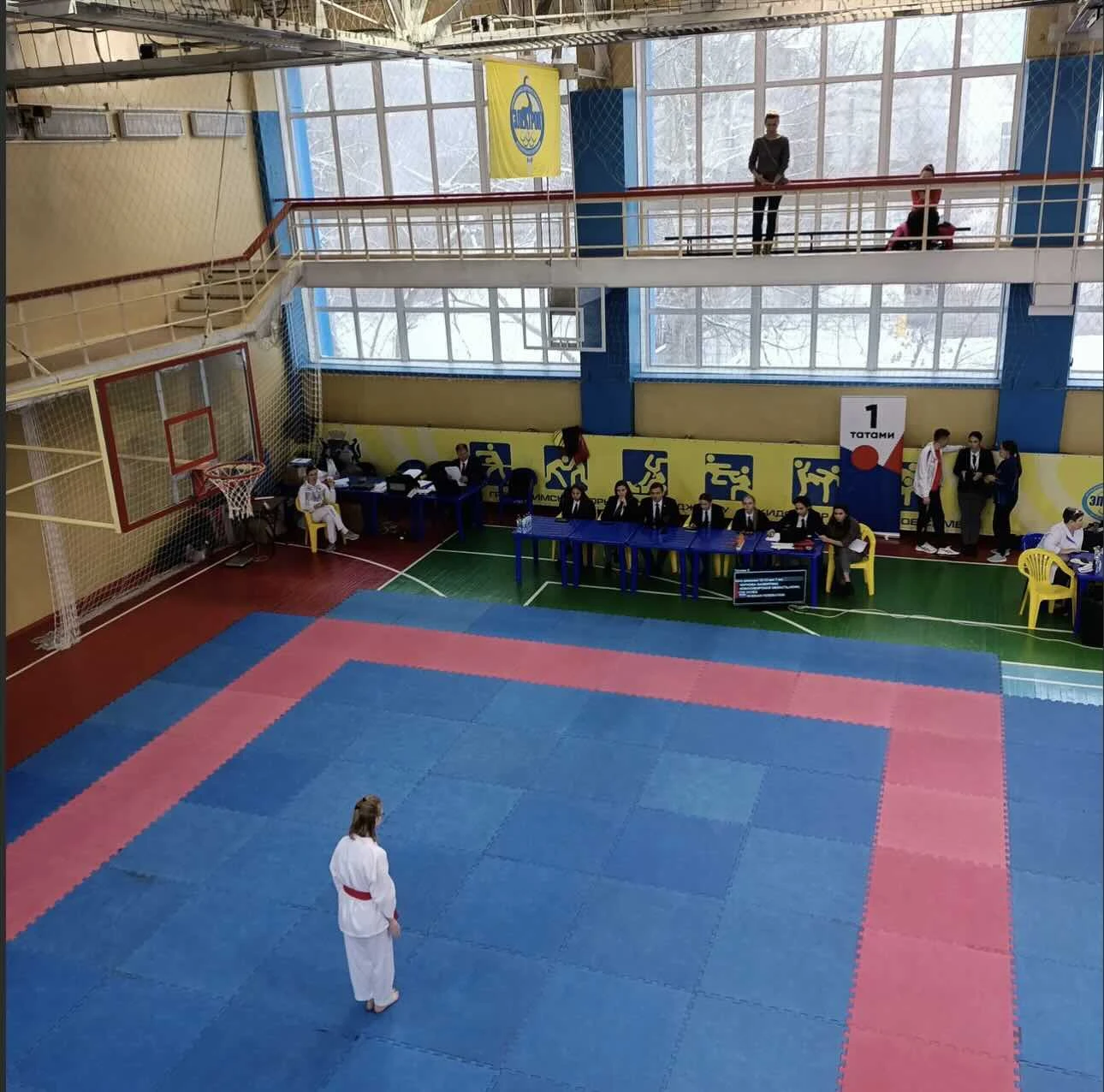 Всероссийский фестиваль воздушной гимнастики и циркового искусства "Новое поколение"