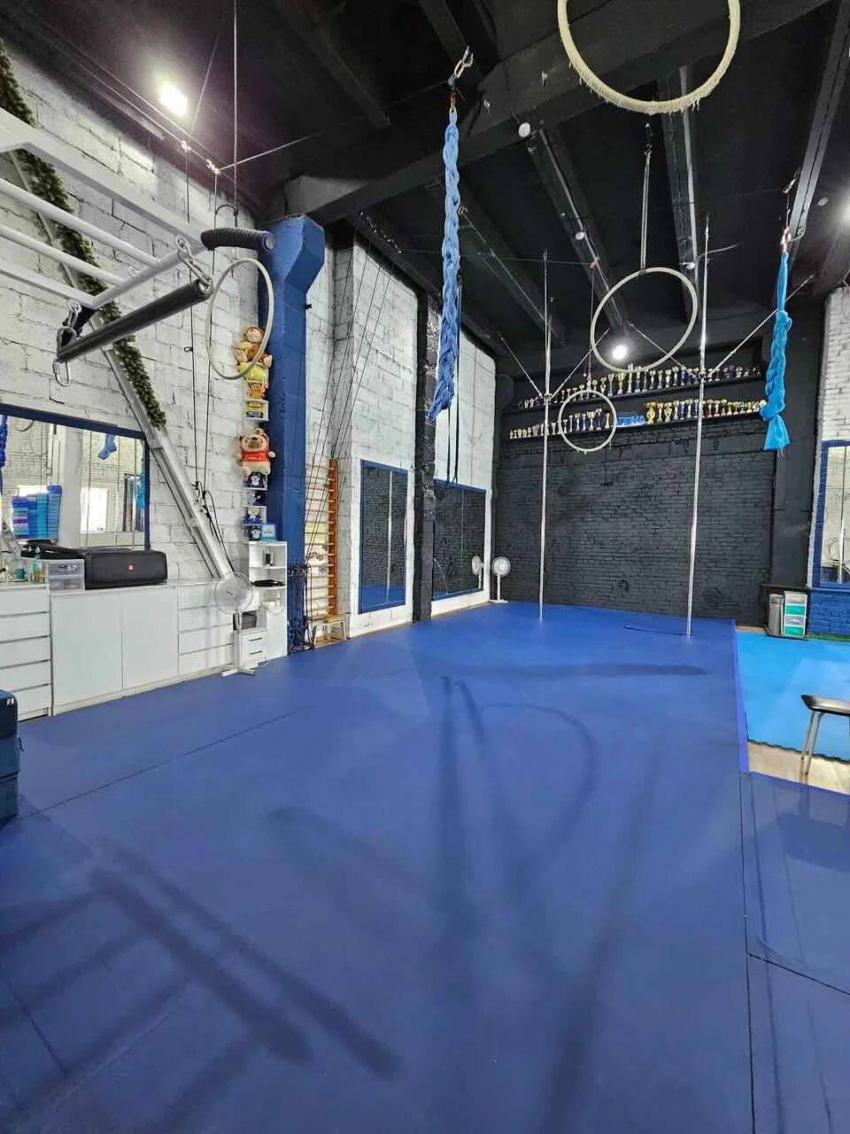 Arena Aerial Athletics