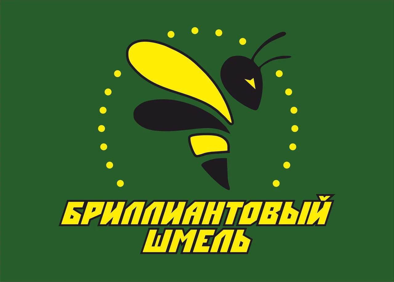 Центр творчества и спорта "Бриллиантовый шмель" (филиал на ул. Республики)