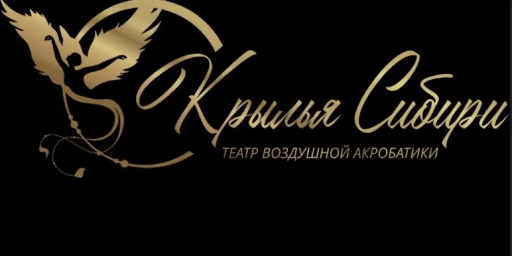 Центр воздушной гимнастики "Крылья Сибири"