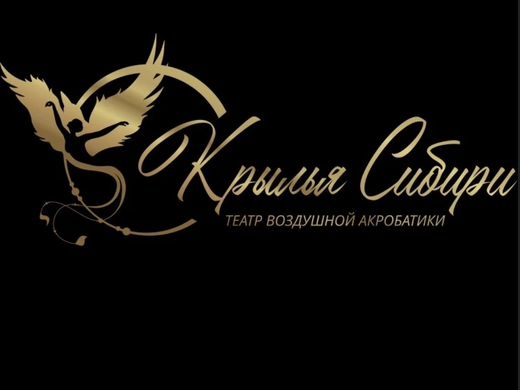 Центр воздушной гимнастики "Крылья Сибири"