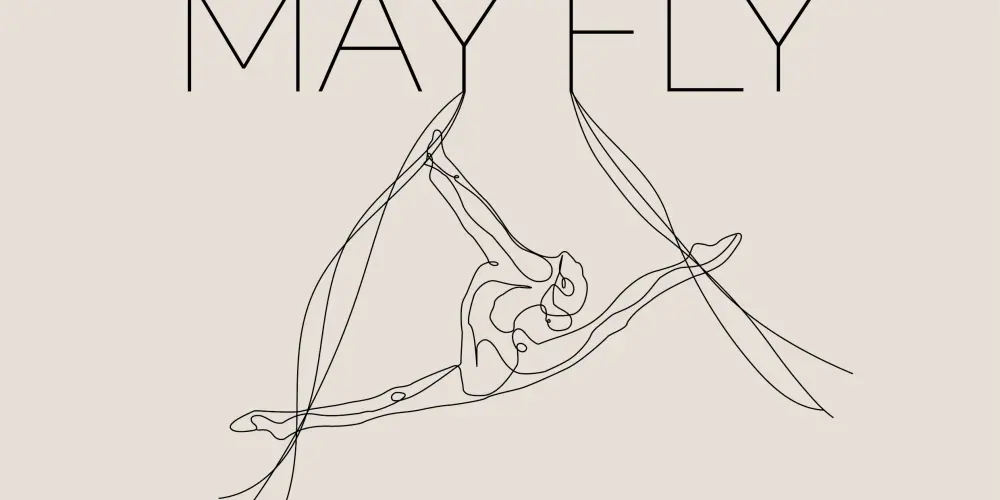 Детский спортивный центр "MayFly"