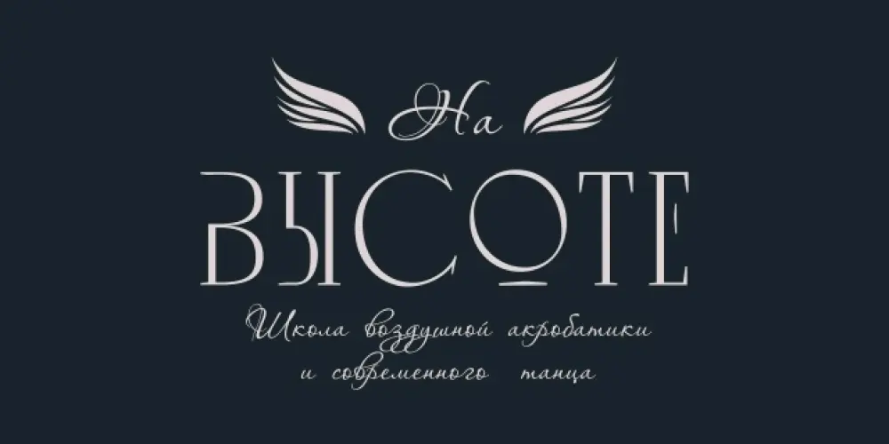 Школа воздушной акробатики и современного танца "На высоте"