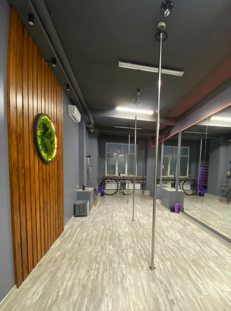 Студия танцев и воздушной акробатики "EsteticPole"