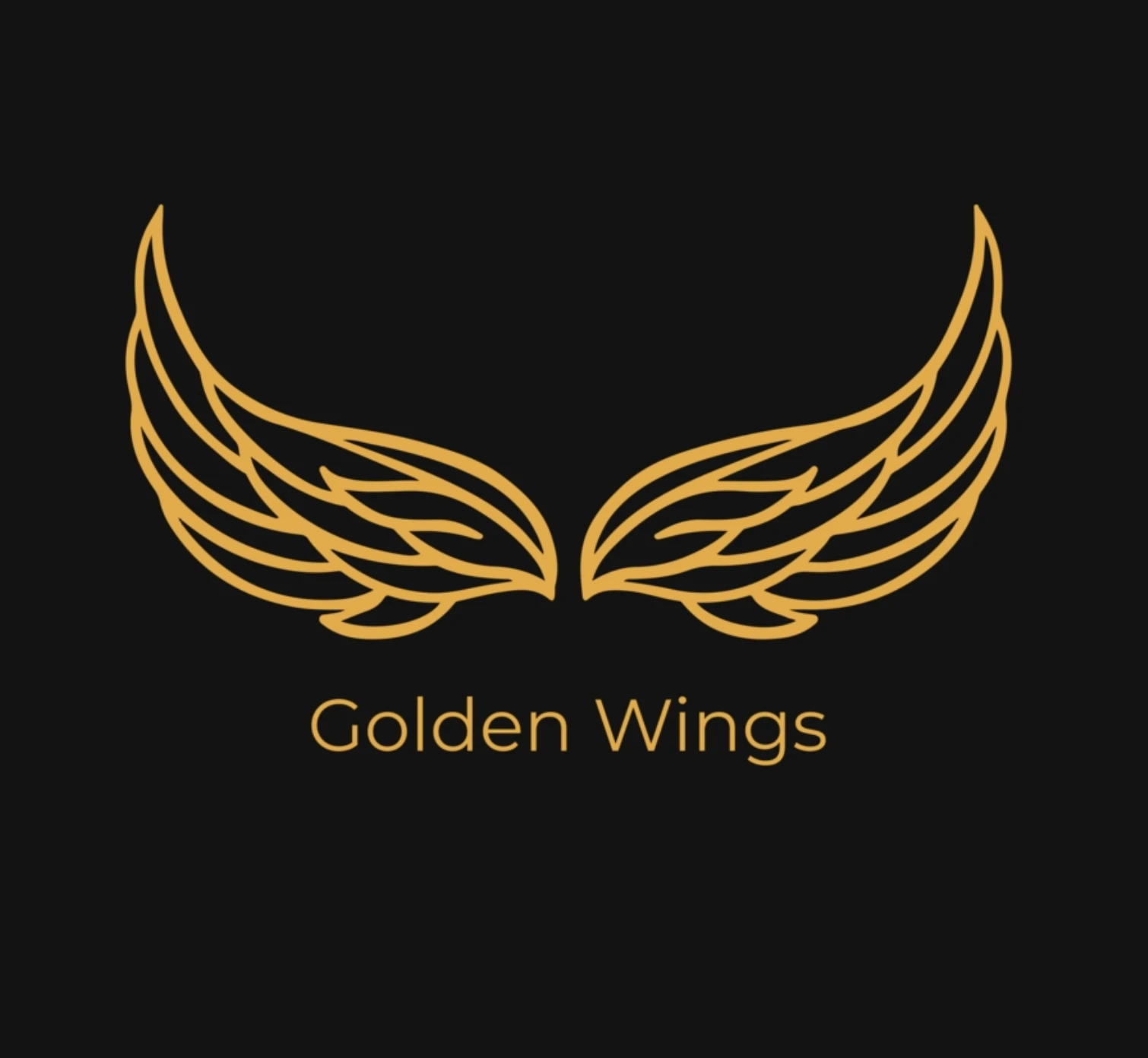Студия воздушной гимнастики "Golden Wings"